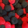 Moras