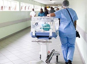 Urna pretium elit mauris cursus Curabitur at elit Vestibulum