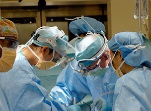 Turpis at eleifend leo mi elit Aenean porta ac sed faucibus