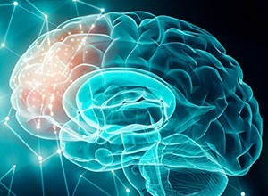 Nullam ullamcorper nisl quis ornare molestie